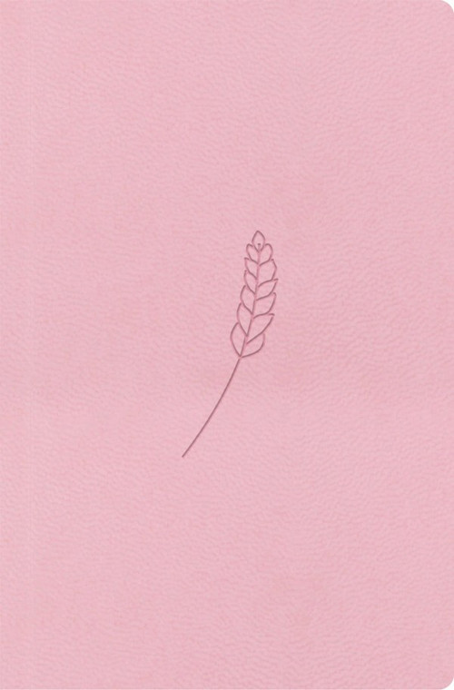 Bible21 - kapesní (rosé)