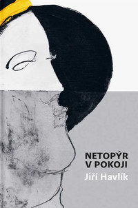 Netopýr v pokoji