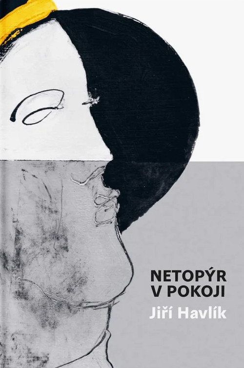 Netopýr v pokoji