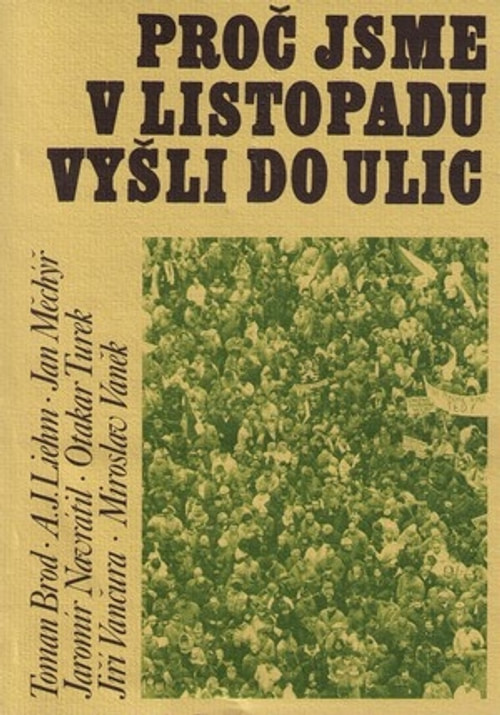 Proč jsme v Listopadu vyšli do ulic