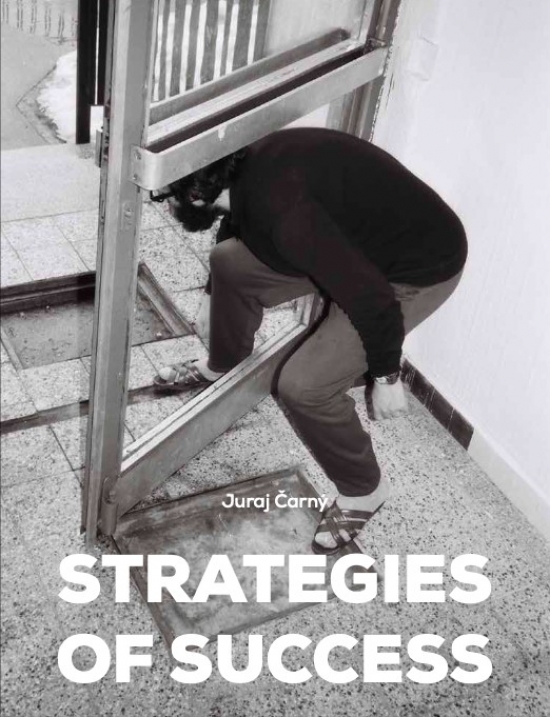 Strategies of Success / Stratégie úspechu