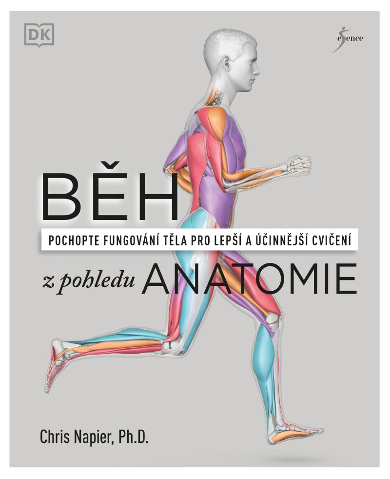 Běh z pohledu anatomie