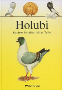 Holubi