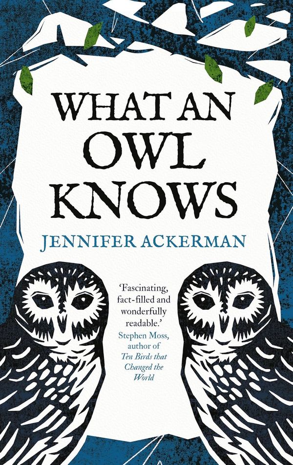 What an Owl Know