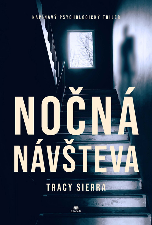 Nočná návšteva