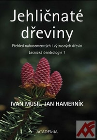 Jehličnaté dřeviny. Lesnická dendrologie 1