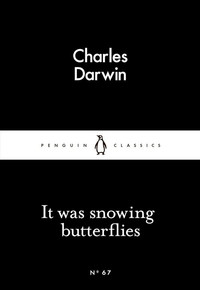 It Was Snowing Butterflies