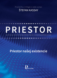 Symbióza ekonomickej diplomacie a podnikateľskej praxe: Priestor