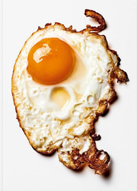The Gourmand's Egg. A Collection of Stories & Recipes