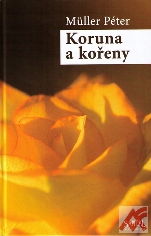 Koruna a kořeny