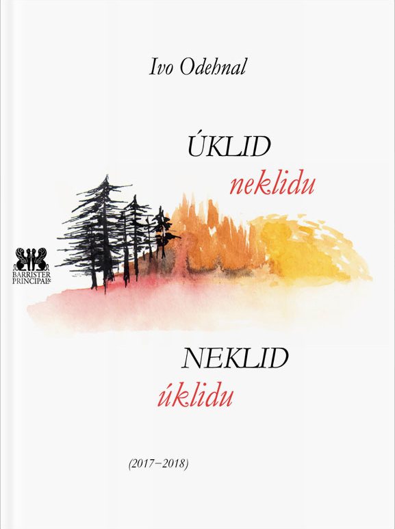 Úklid neklidu - neklid úklidu