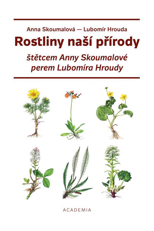 Rostliny naší přírody