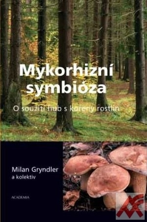 Mykorhizní symbióza