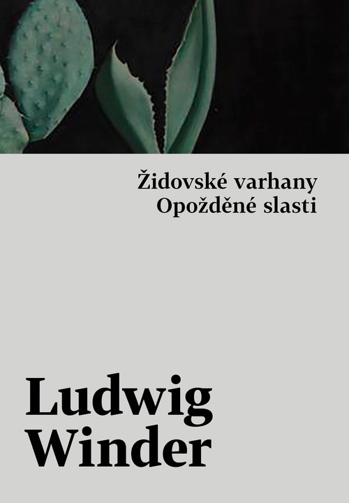 Opožděné slasti, Židovské varhany