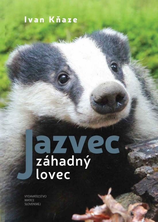 Jazvec - záhadný lovec