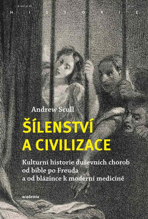 Šílenství a civilizace