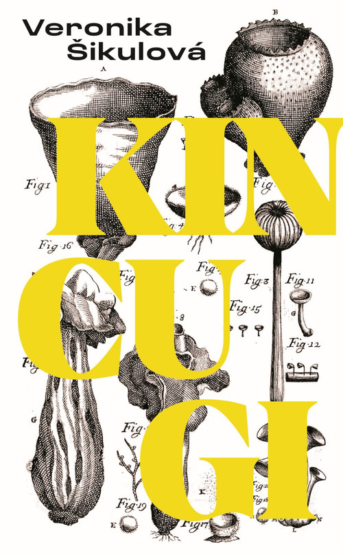 Kincugi