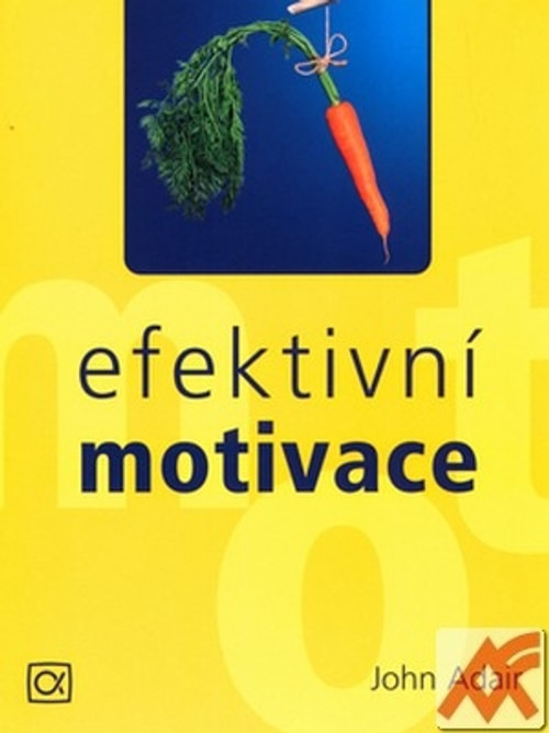 Efektivní motivace