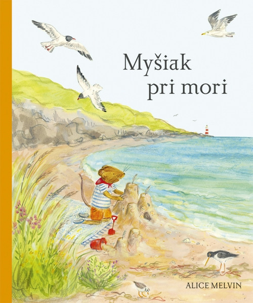 Myšiak pri mori