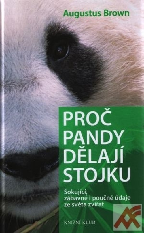 Proč pandy dělají stojku. Šokující, zábavné i poučné údaje ze světa zvířat