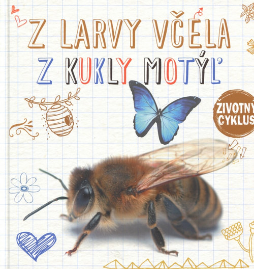 Z larvy včela, z kukly motýľ