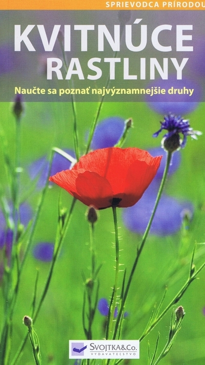 Kvitnúce rastliny