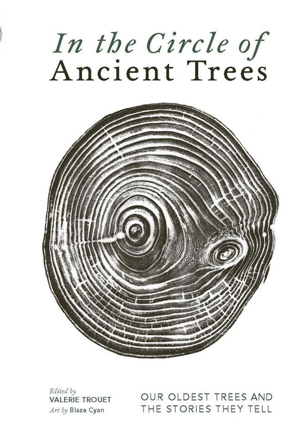 In The Circle of Ancient Trees