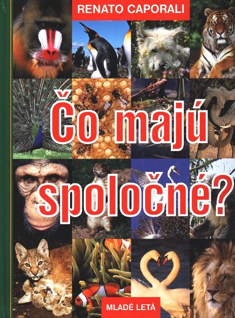 Čo majú spoločné?