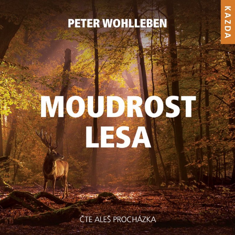 Moudrost lesa - CD MP3 (audiokniha)