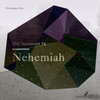 The Old Testament 16 - Nehemiah (EN)