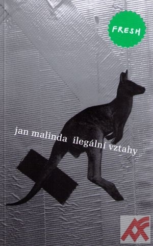 Ilegální vztahy