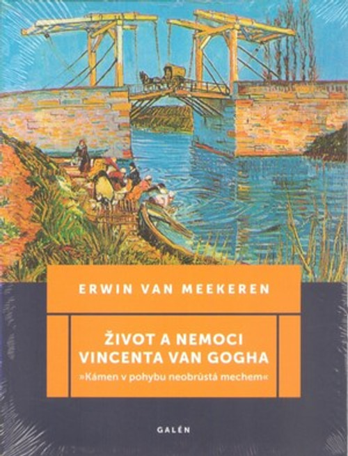 Život a nemoci Vincenta van Gogha