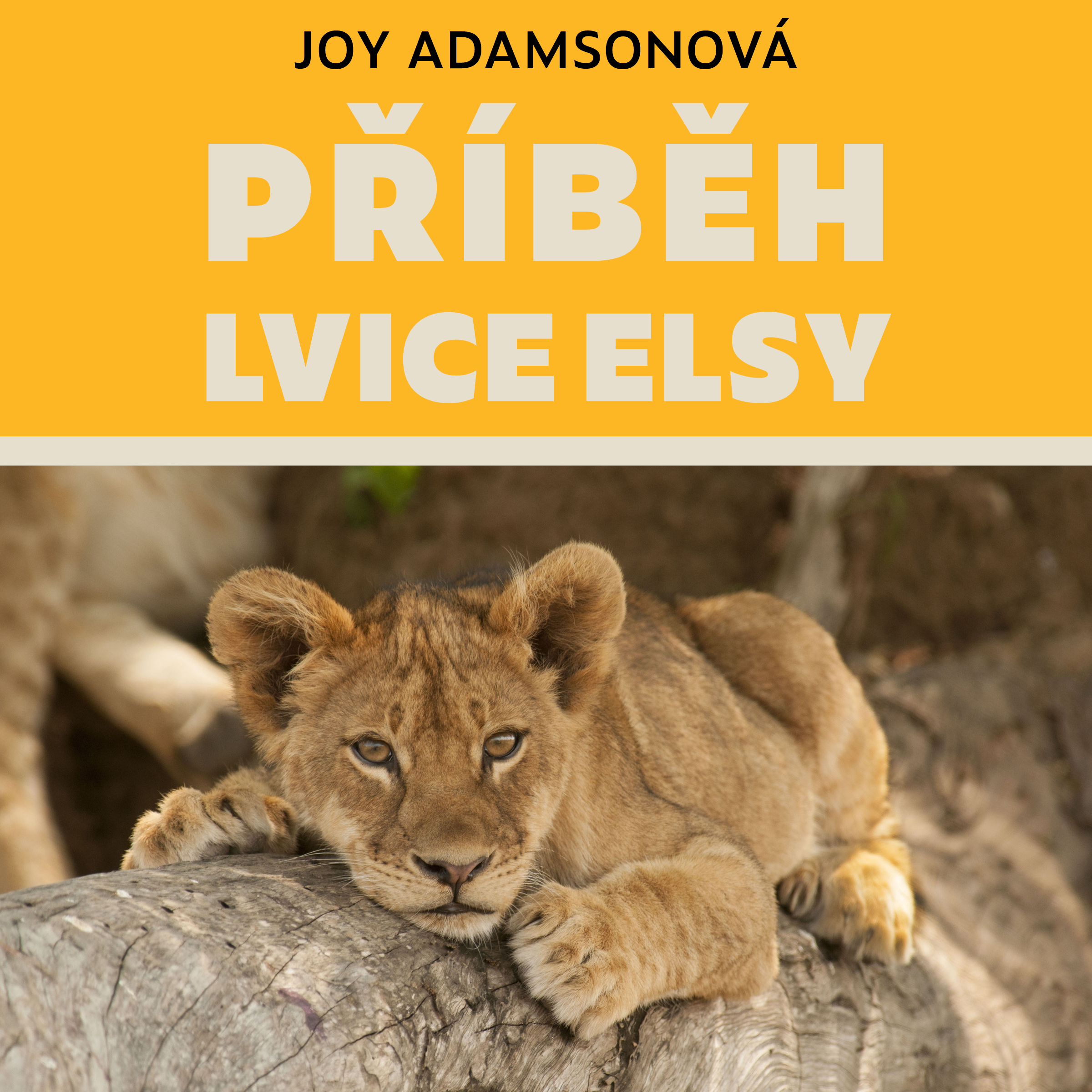 Příběh lvice Elsy