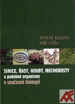 Sinice, řasy, houby, mechorosty a podobné organismy v současné biologii