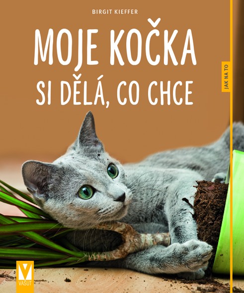 Kniha Moje kočka si dělá, co chce - Jak na to - Kieffer Birgit