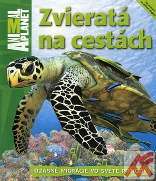 Zvieratá na cestách
