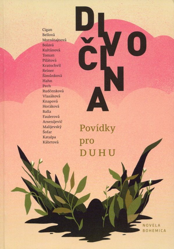 Divočina