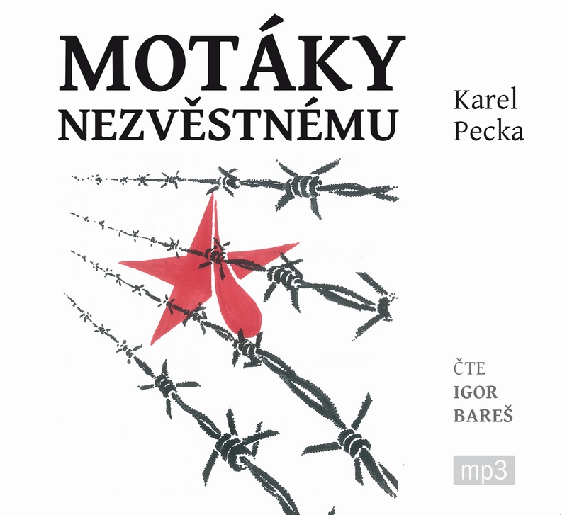 Motáky nezvěstnému - 3CD MP3 (audiokniha)