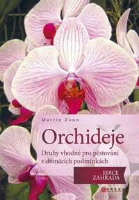 Orchideje. Druhy vhodné pro pěstování v domácích podmínkách
