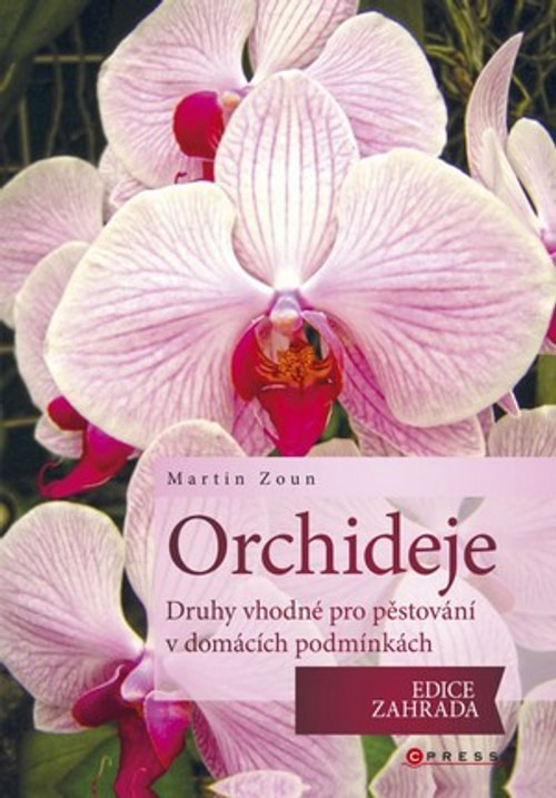 Orchideje. Druhy vhodné pro pěstování v domácích podmínkách
