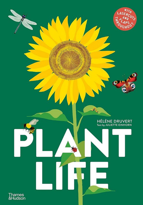 Plant Life