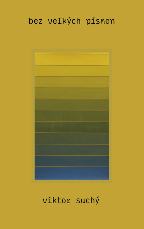 bez veľkých písmen