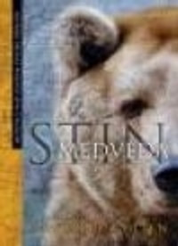 Stín medvěda
