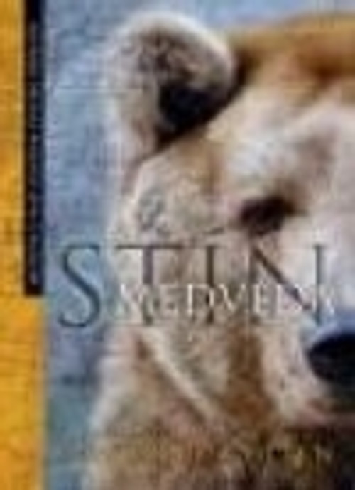 Stín medvěda