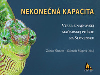 Nekonečná kapacita