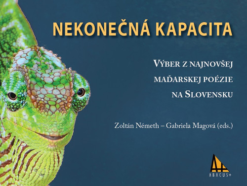 Nekonečná kapacita