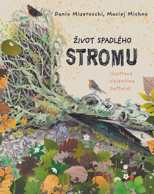 Život spadlého stromu