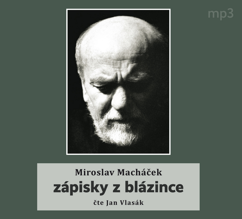 Zápisky z blázince - CD MP3 (audiokniha)