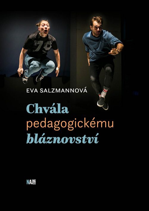 Kniha Chvála pedagogickému bláznovství