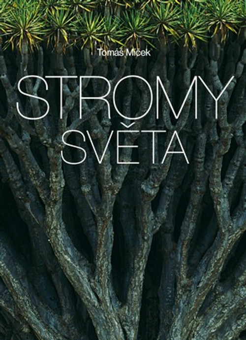 Stromy světa
